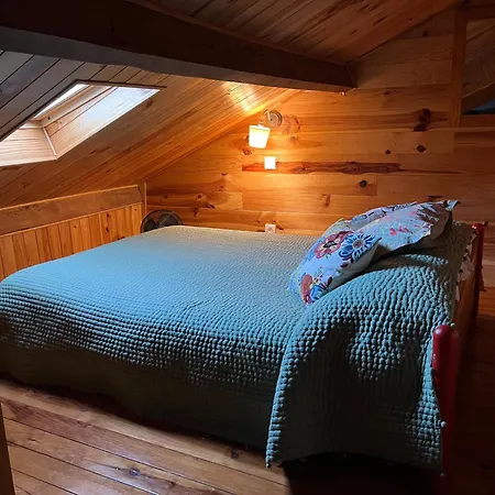 Basia, - Centre , Quartier Historique Sanctuaires A 7 Min A Pied لورد